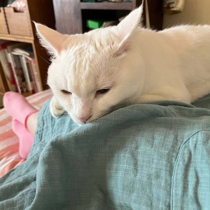 De14b81a bf92 4e8d 82e9 69c853174eae 1723726598812