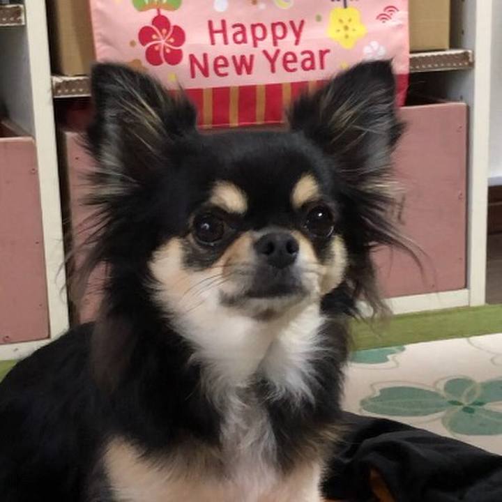 De14be38 c115 4b01 95b8 4566caa25b90 1577752946937