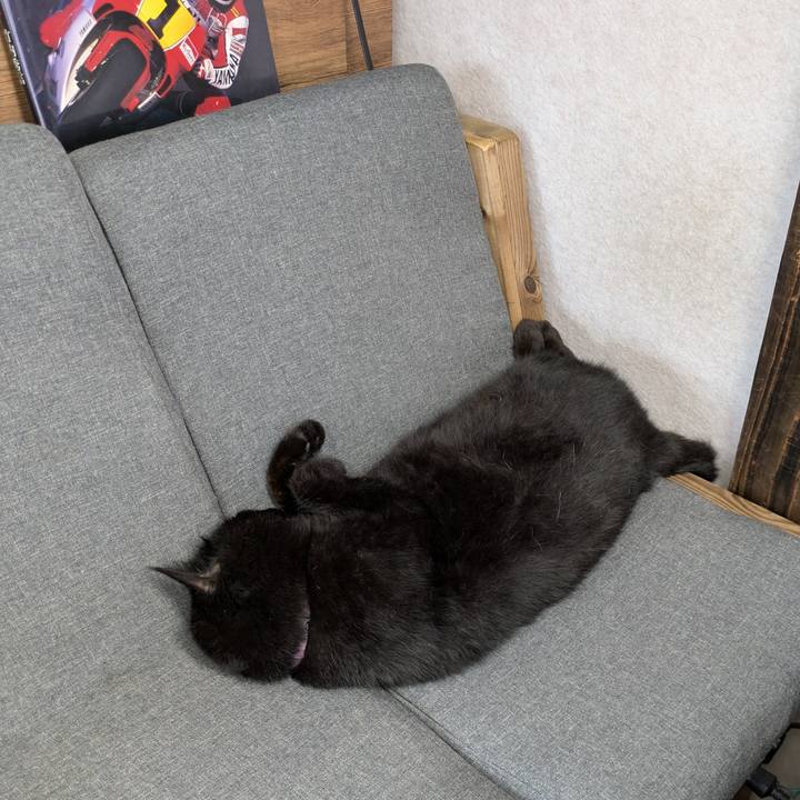 De14c176 bef3 47ae 8c4b b9d2ef8bcc0b 1749520187345