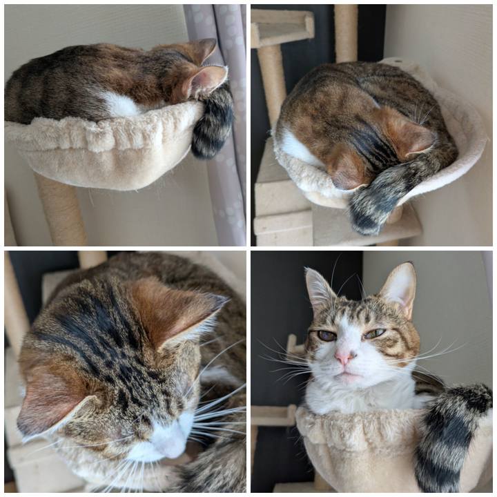 De14ebc3 412e 4588 9e85 52992c2249e0 1773733580666