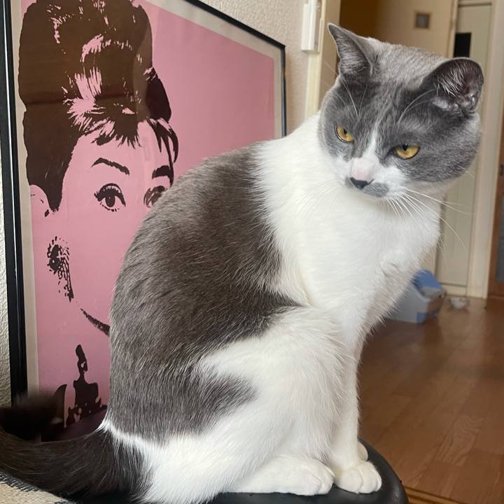 De154835 3557 4f44 af8c dc61d7d374cf 1640744561517