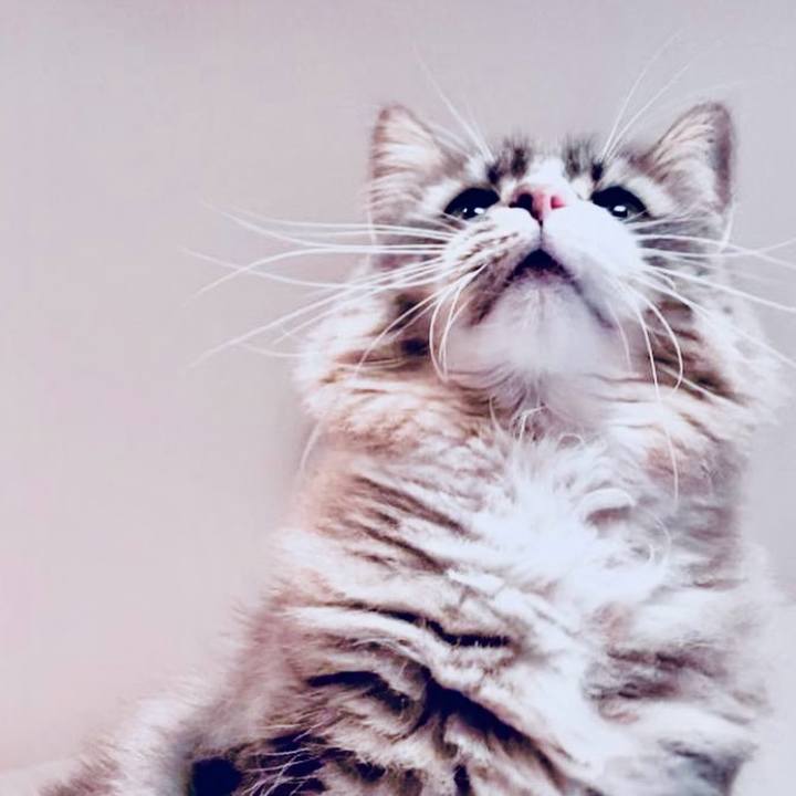 De154bb7 a9d2 466e a2af 5b5911520365 1756740262460