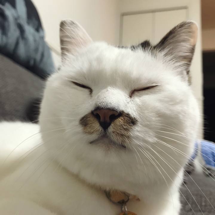 De1555ed 85f2 480f 93a5 2a05c29032aa 1569473987470