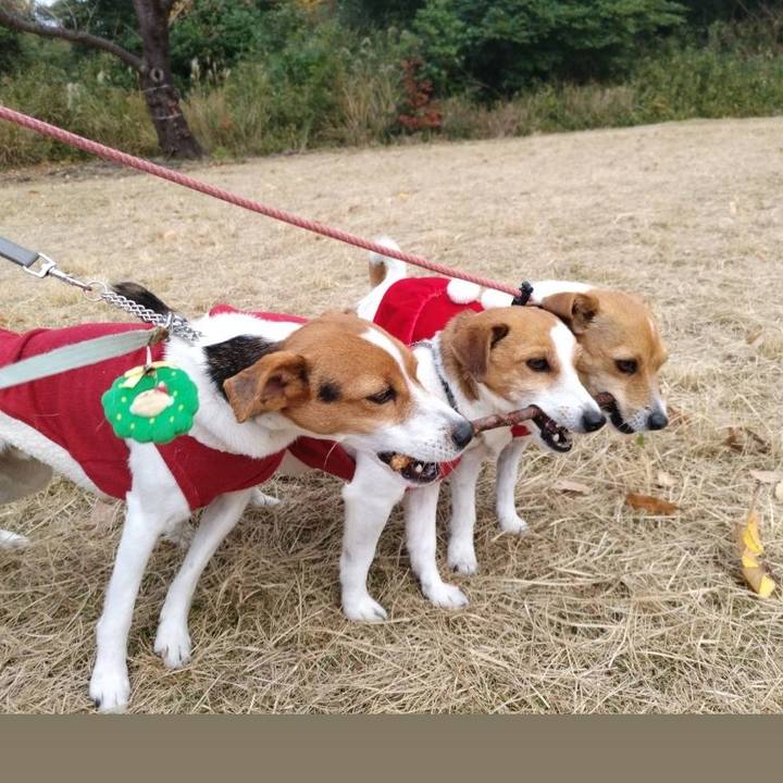 De15977c 567d 45a2 94e8 47f61fd305ed 1765623337040