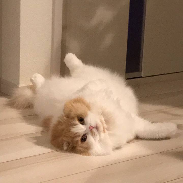 De15ac66 5d98 4d67 a32e a1fa60742f42 1573483223790