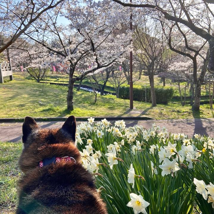 De15e907 bec7 41eb 8fec 09cbcdf73d1b 1712913199329