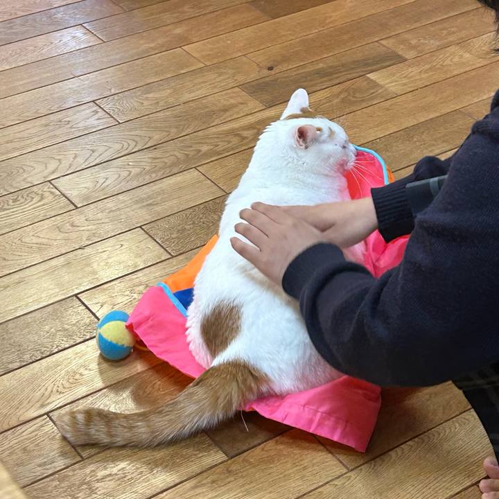 De15ee54 6ca9 4be2 b257 ea4e519ecf5b 1684879177452