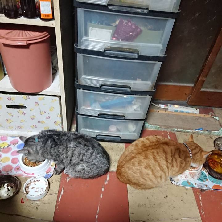 De15fe07 c6aa 45d9 85e3 1229a8a53031 1574820398166