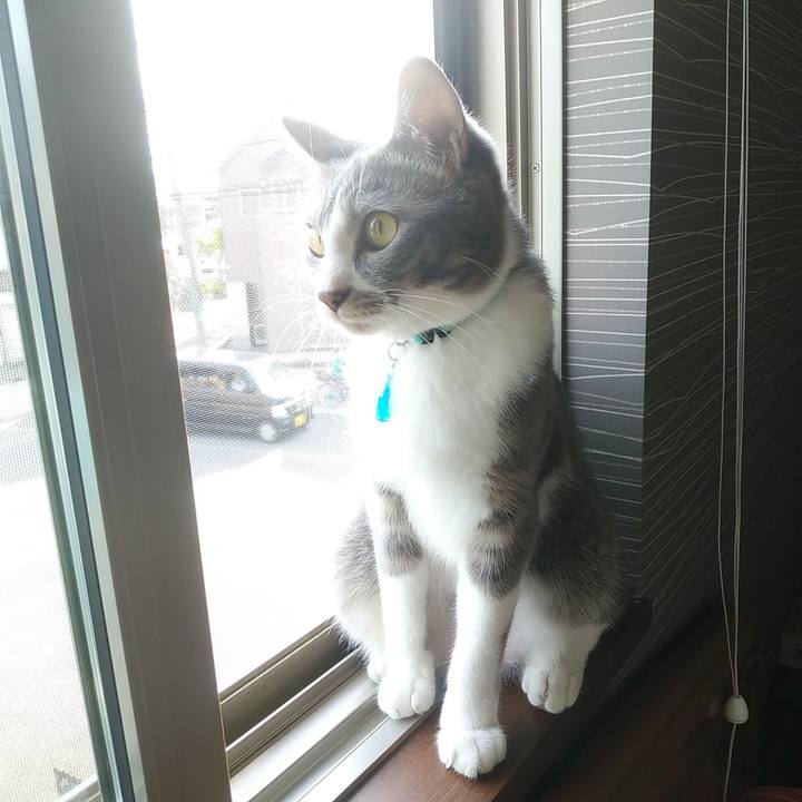 De160947 16a2 453b 9dbd 7d8ae5e76a82 1590358829544