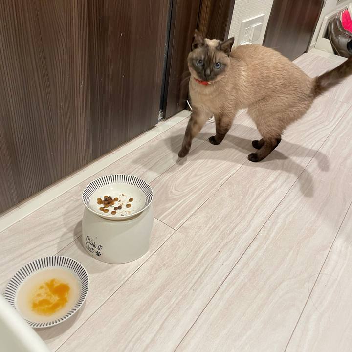 De16182b 078d 4495 a681 aa1e69a09b1d 1776166039922