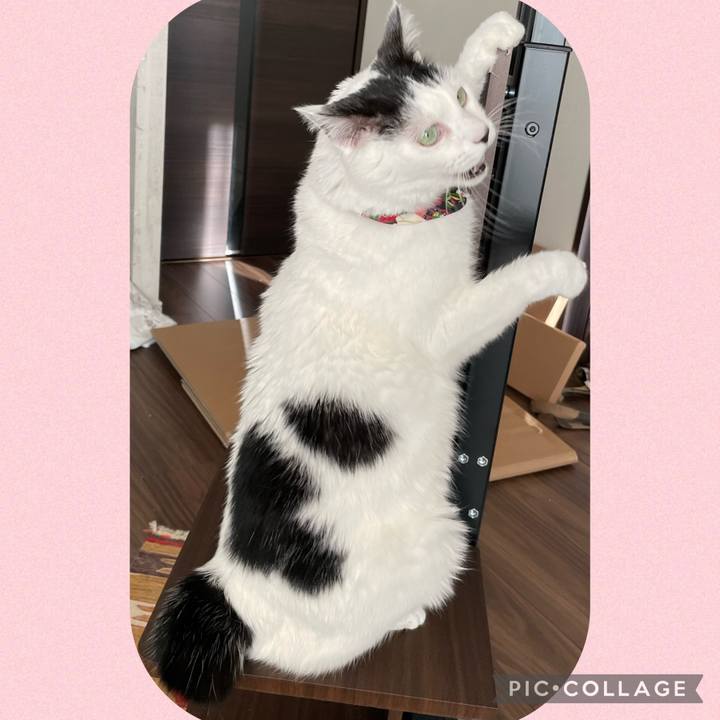 De161d01 604b 4585 94a2 51f85376b1b8 1644561550771