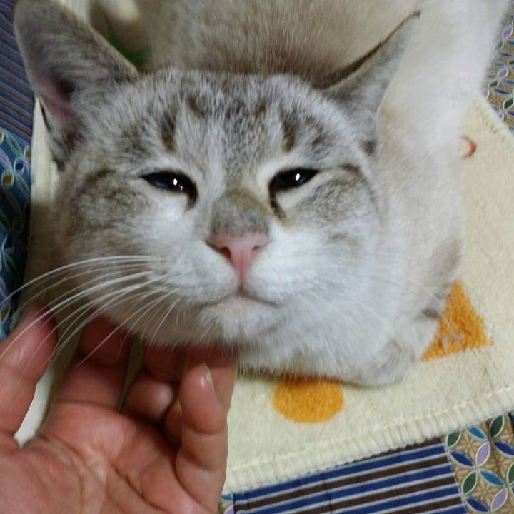 De162fc8 c91c 4206 8aa1 9b44201e4156 1515062095344