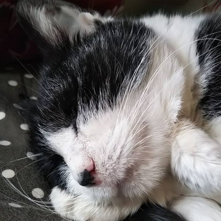 De164749 d098 48df 8b45 2c432586e0ef 1621644926582