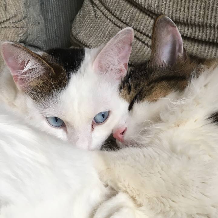 De167c74 8f96 4d07 8352 507cbf1a092a 1523507448856