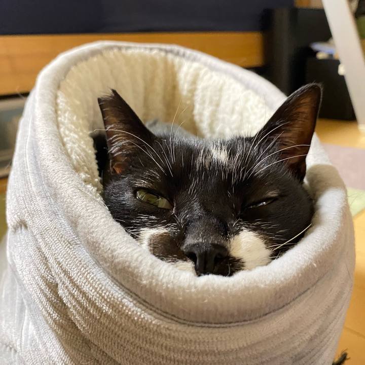 De16972b 935d 483b b7c2 f014b9bac92b 1676302307689