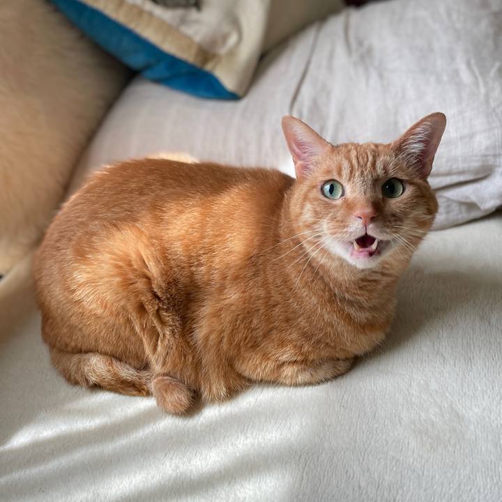 De16a66c 28d5 47b0 ad9a 1a6c83a03eda 1746362450278