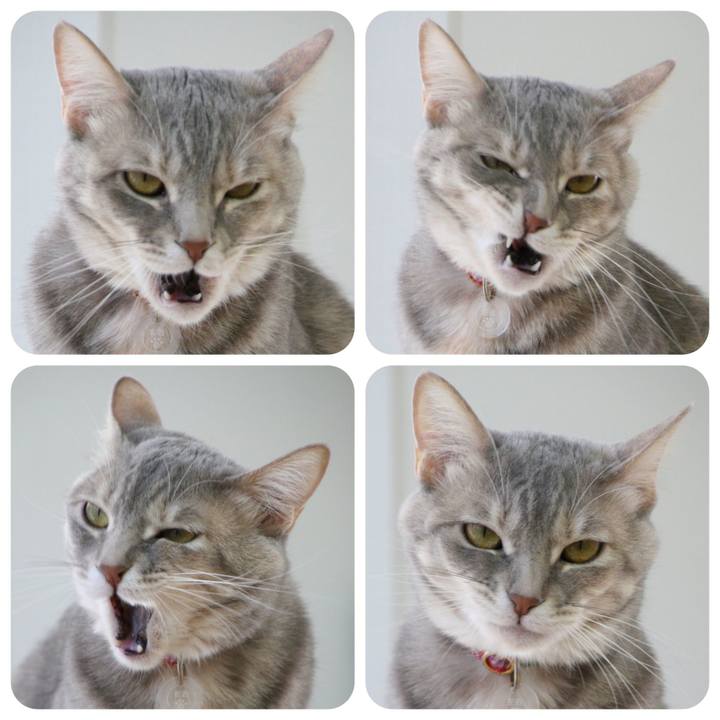 De174f35 e140 4a52 a02e ca0f6d7c0a8a 1523495877822