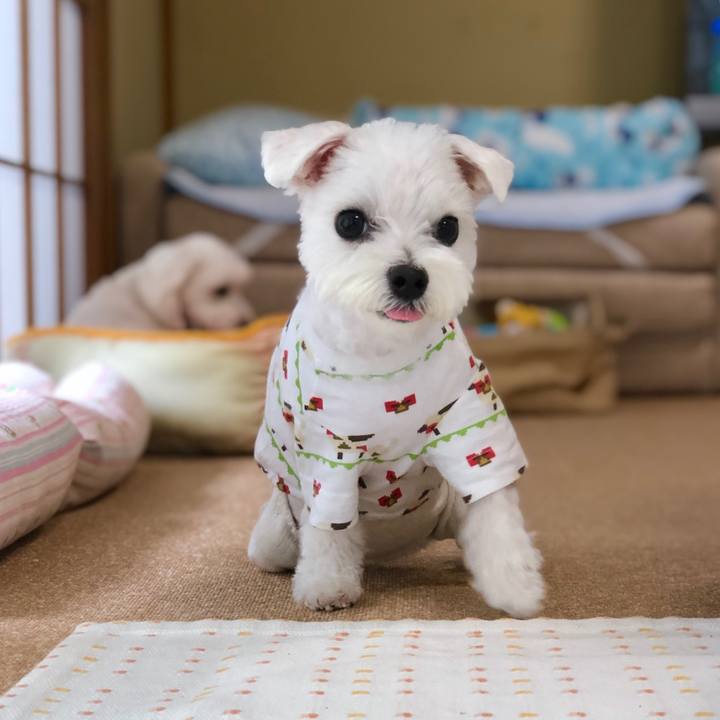 De175bdf 15e4 4cd2 9877 a44cfb431a2d 1565588343446