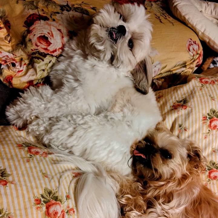 De177cf9 b9be 454d 8fd6 7ad3dd4ca337 1679844025187