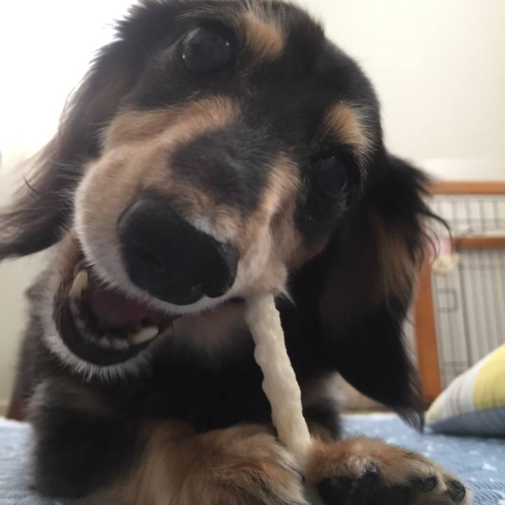 De177f07 eb6e 4d9e a140 537149400951 1535587869532