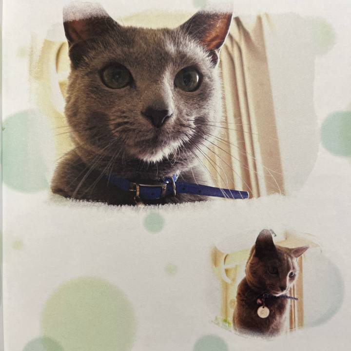 De178580 5980 4f45 973f 7f13800b692f 1729769089036