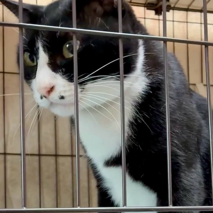 De178598 b738 48bc ae71 9b02755f6e11 1756434048937