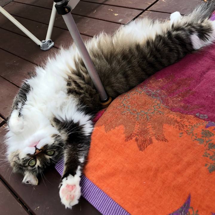 De179e12 62b7 4881 878f 87f332167b39 1533605500315