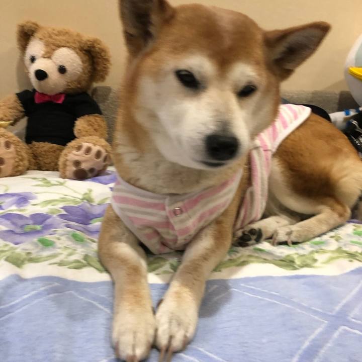 De17a7dd 22cb 43c6 9076 83c629fdf17b 1651219790485