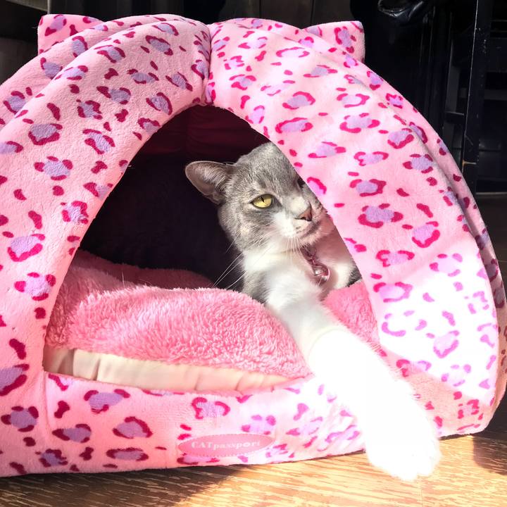 De17da03 6a05 4709 a5b2 72cc8a784af3 1509060298981