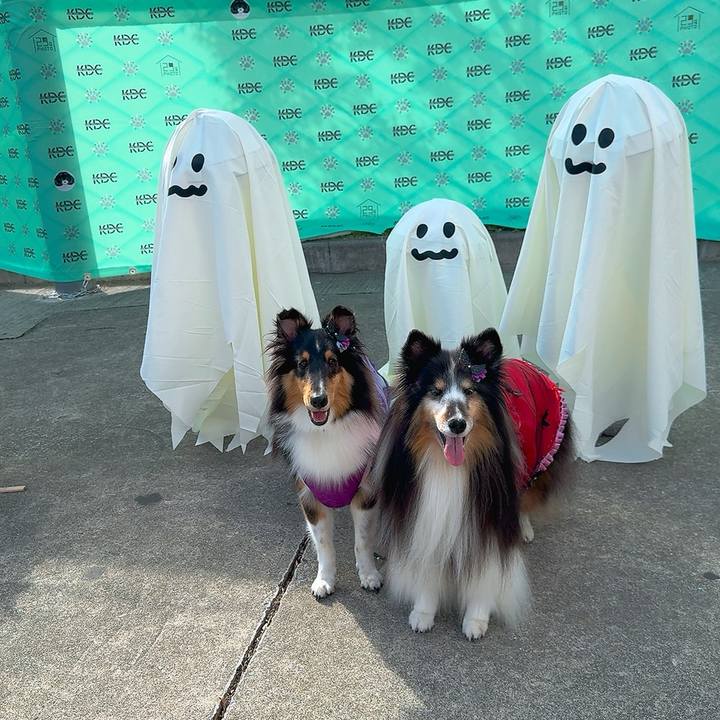 De17e58b 9966 4e75 aa08 ebdfe4cdecf8 1761763338978