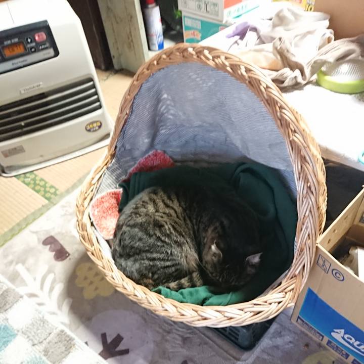 De17ec50 bc01 4084 8c09 028610edaac3 1640306045359