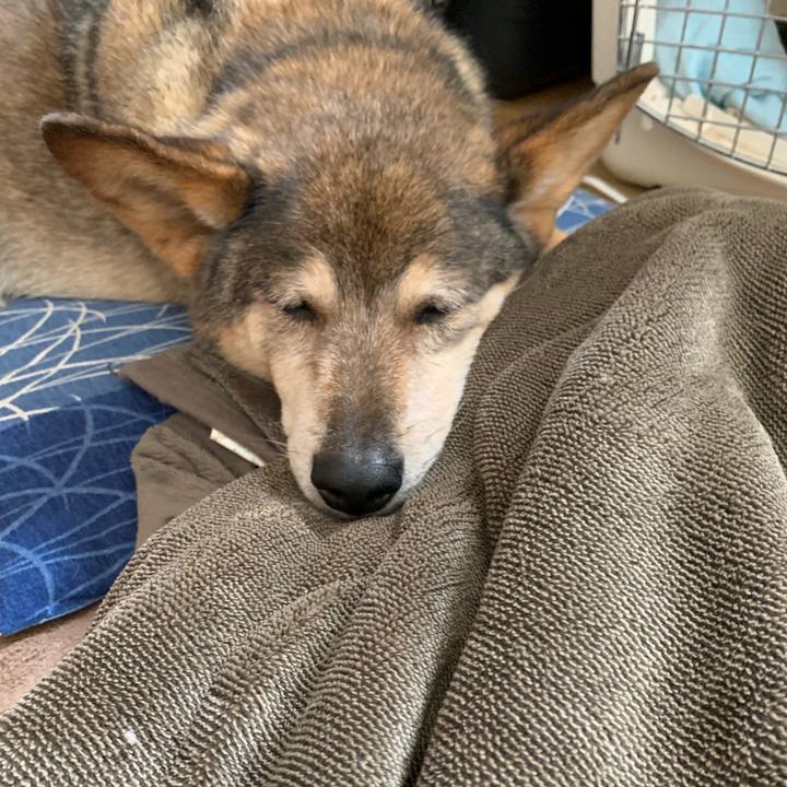 De18232e 99d9 455f b087 7944fb154594 1563893112805