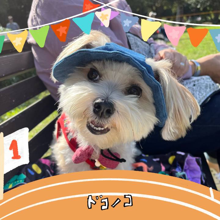 De1833b4 2435 497b bbb1 480a3849fad1 1761565170110