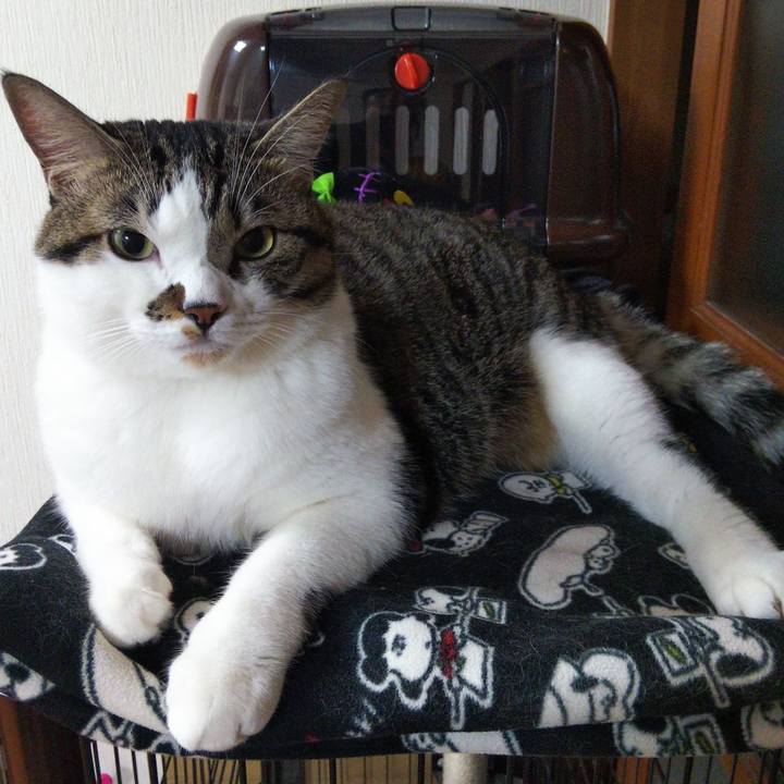 De184095 6617 43d9 9e84 b4828bfa6757 1665549234275