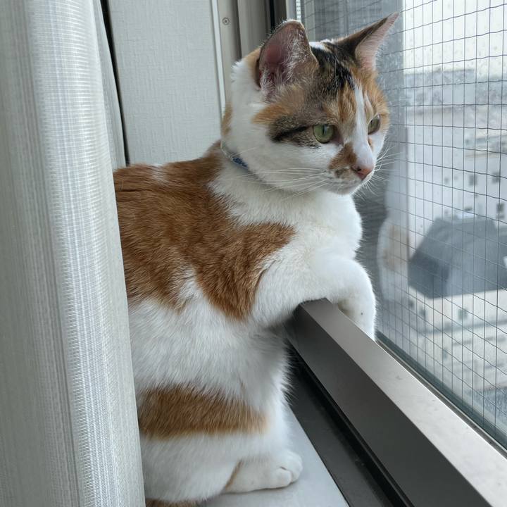 De1863d1 efb7 4c5e ac6e 01407ba60679 1714002570653