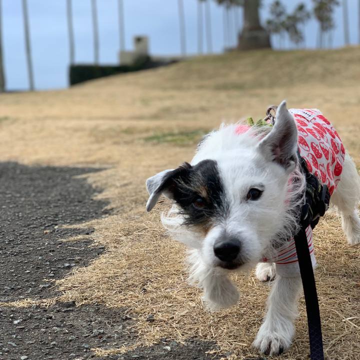 De18657c 4bfe 49d9 bbae 1e181693a5ed 1708137848232