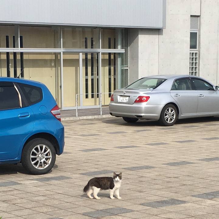 De1887e2 248f 4839 ba20 2310e0422691 1533387519547