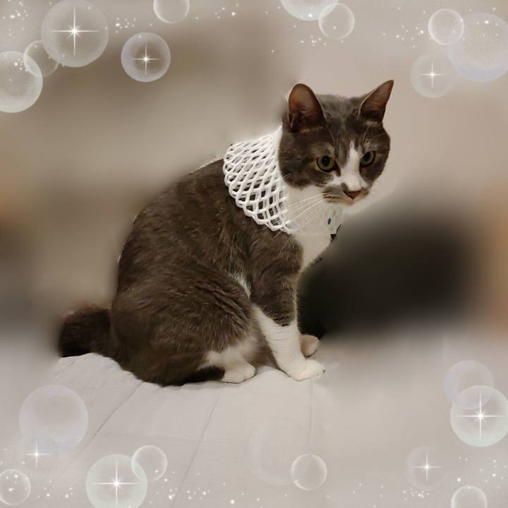 De189462 3451 41c9 b1e0 bd84236f8861 1655121617967