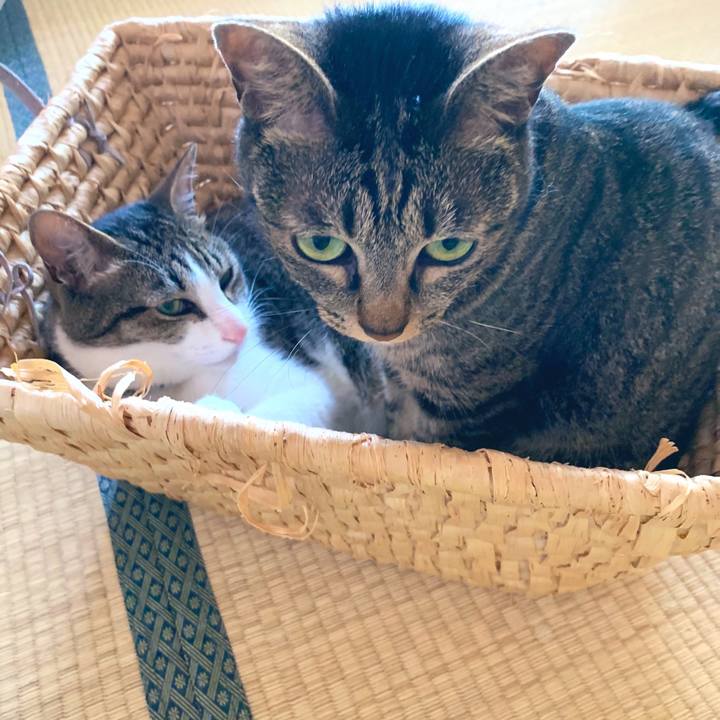 De18a023 1701 4292 9e7e e661bfee7a85 1561766946791