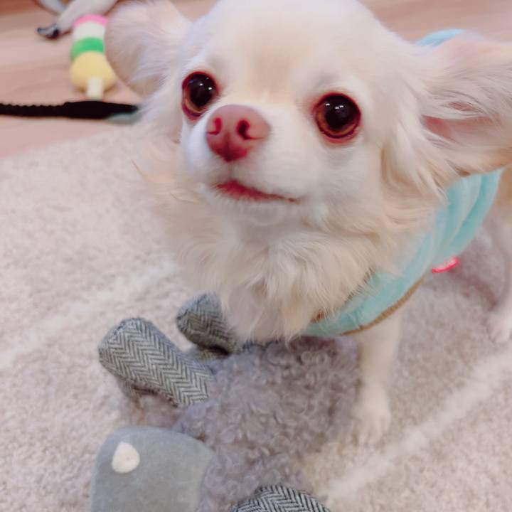 De18a04f 0934 47a8 916f 787d8048c7d7 1699789402923