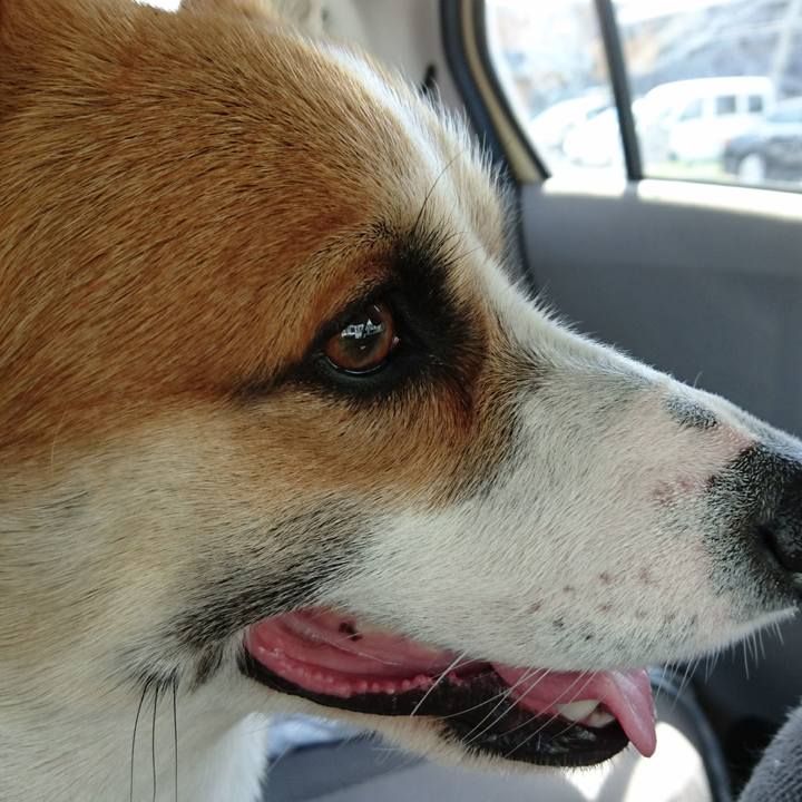 De18e730 c635 4bb4 8aed 26549d6b0f6d 1588652341855