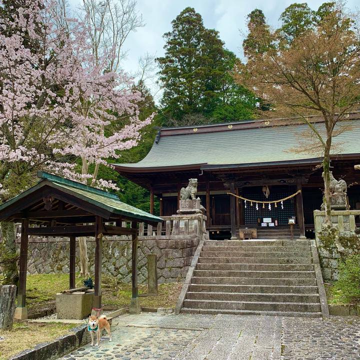 De1900af 05ff 4bc1 8953 9528eed3ffb0 1617613484916