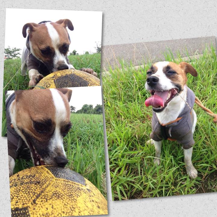 De1916ee 8d50 4ed6 abe8 ec3690bf7f60 1693718097489