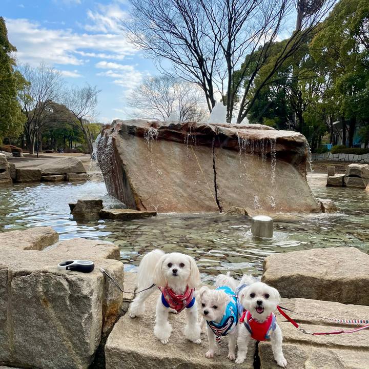 De1919eb 4a17 4d7f 8572 5c80f776ca40 1645341757030