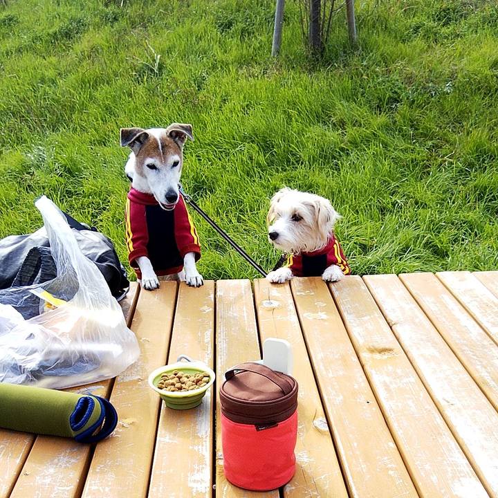 De196927 bce3 40a2 9636 fc5378052fd0 1576383891045