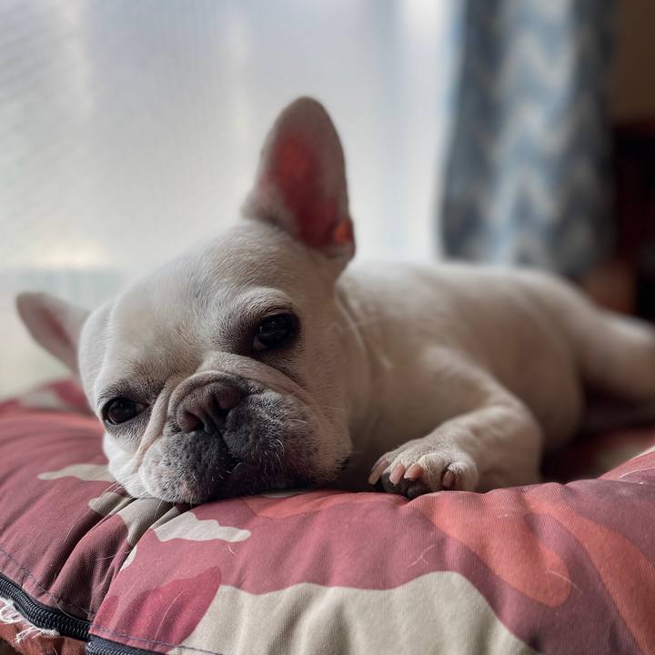 De1970d0 72fa 4ab4 b89c b67dbba87f86 1725592964533