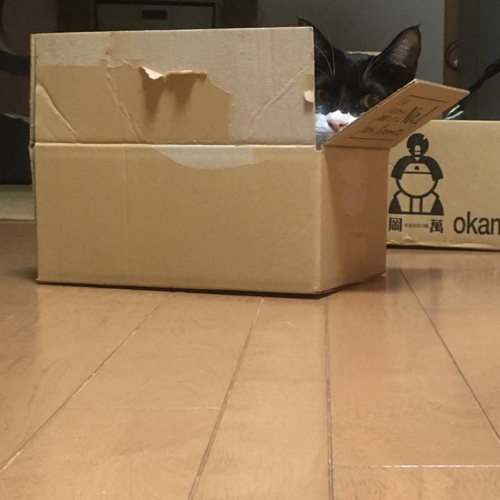 De19852d f018 4a47 8ca0 a884840519d3 1585915064301