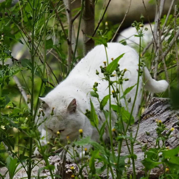 De19c96d 4997 4e06 952c 1b3e58af05ed 1621341619013