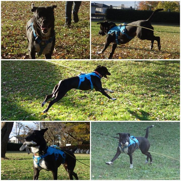 De19edce 0b8e 41fa 9364 3e4d93118f90 1604881231517