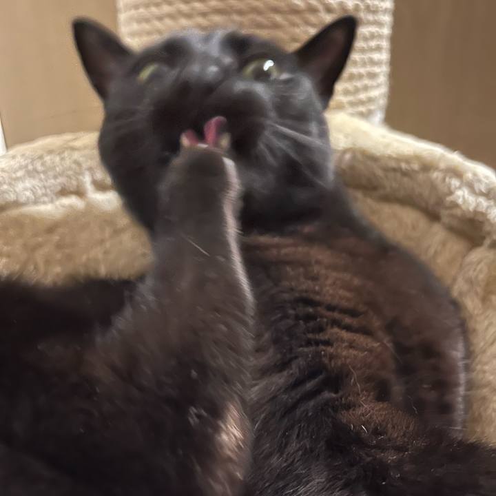 De19f5c1 db27 4a86 84da cd3d473669ae 1716545831844